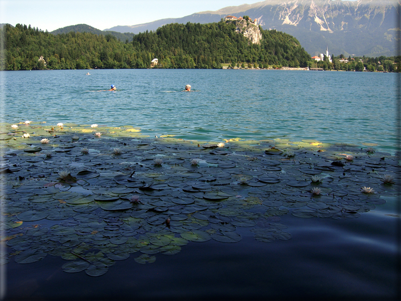 foto Lago di Bled